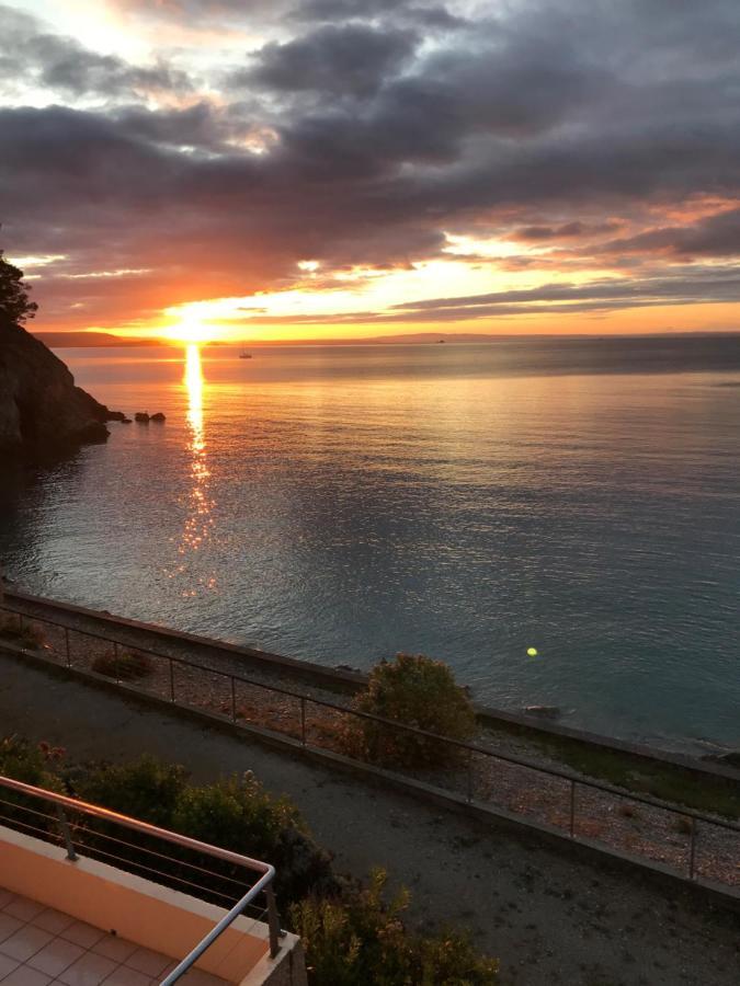 Appartement Cosy Les Pieds Dans L'Eau, Vue Mer Exceptionnelle Crozon Exterior foto
